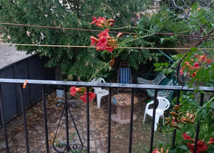 Casa La Tia Bruja - B *